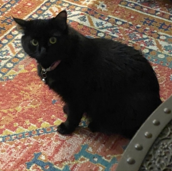 Jewelry - Live listing